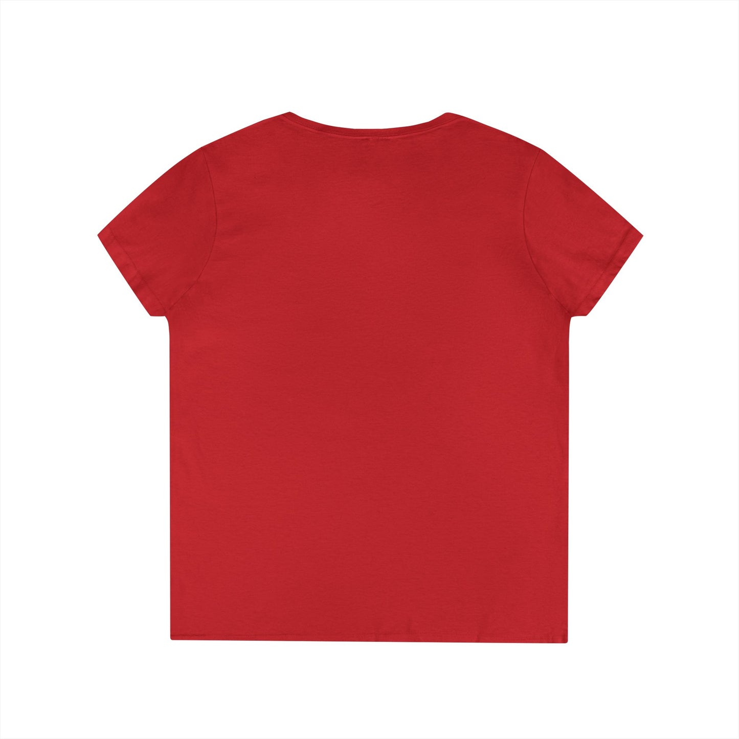 Tax Season V-Neck Tee