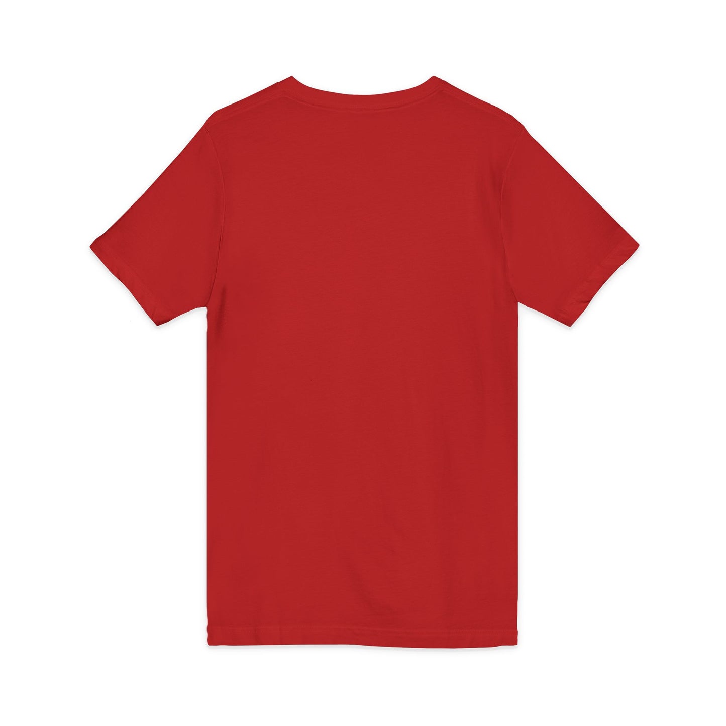 Learning the Fun Way V-Neck Tee