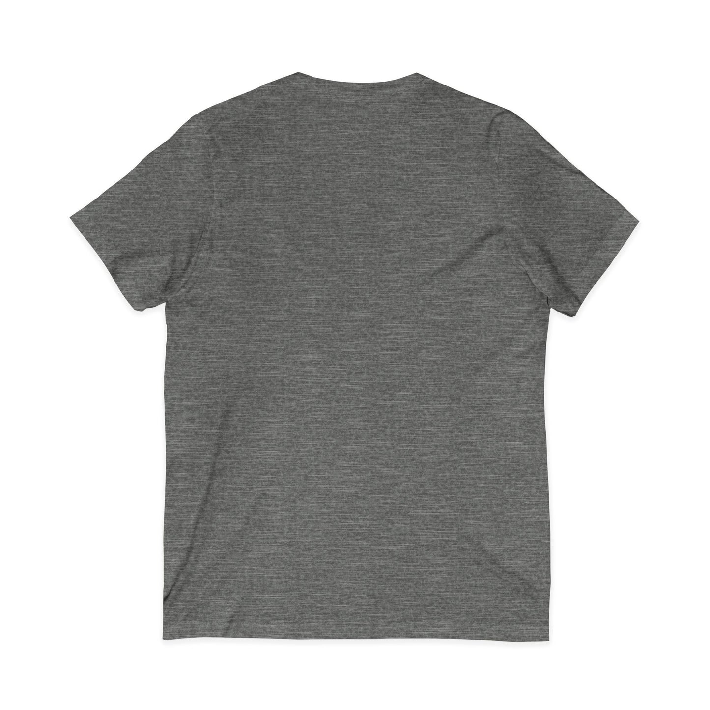 Learning the Fun Way V-Neck Tee