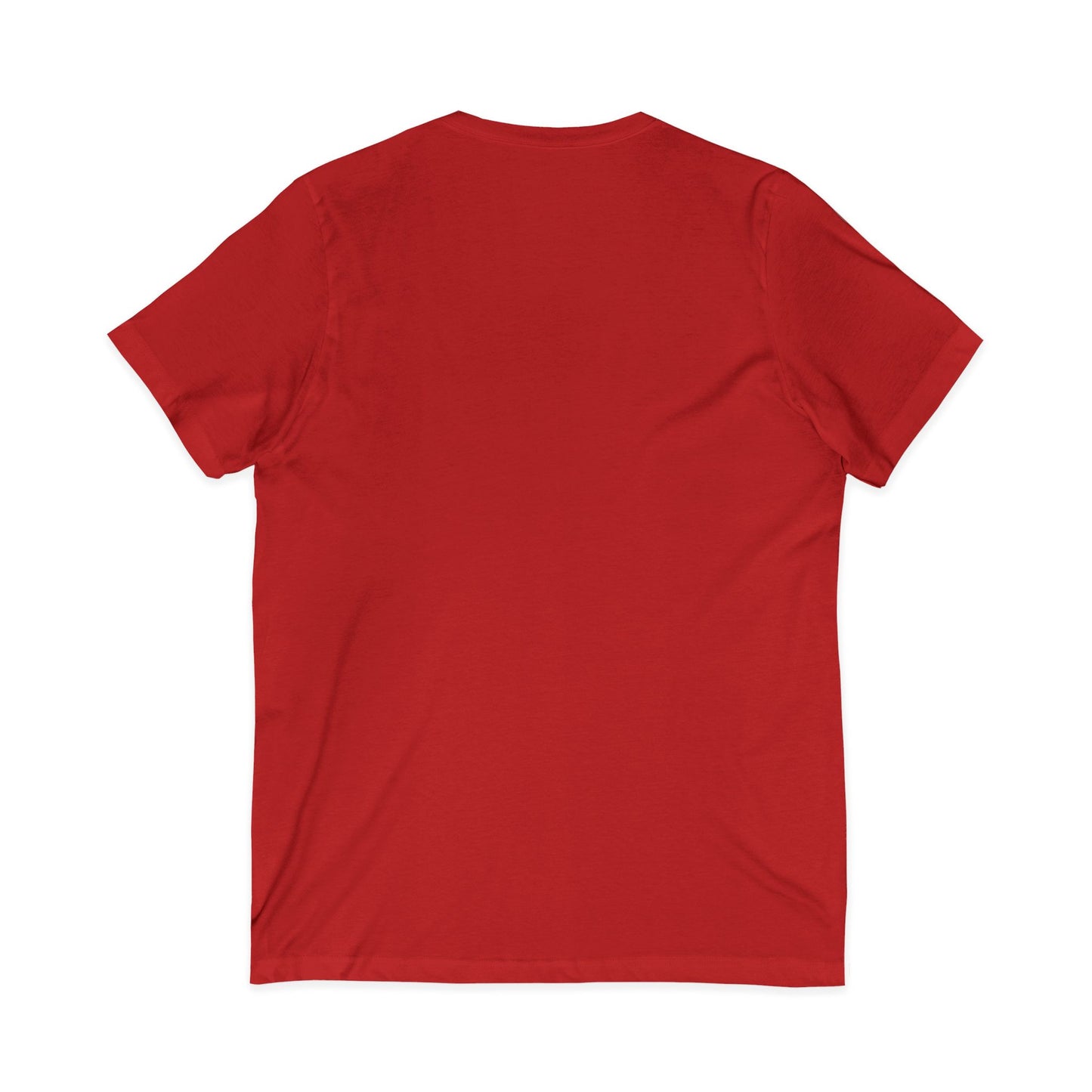 Learning the Fun Way V-Neck Tee