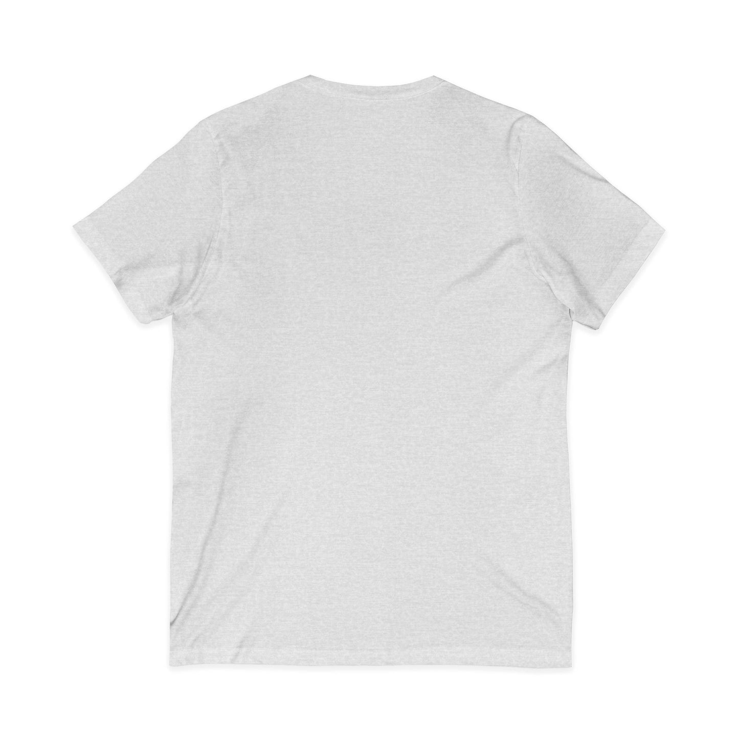 Learning the Fun Way V-Neck Tee