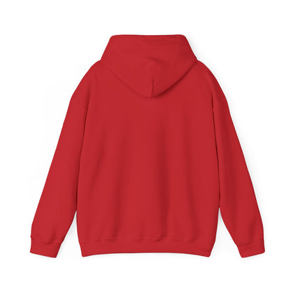Book Smarts and Beauty Hoodie