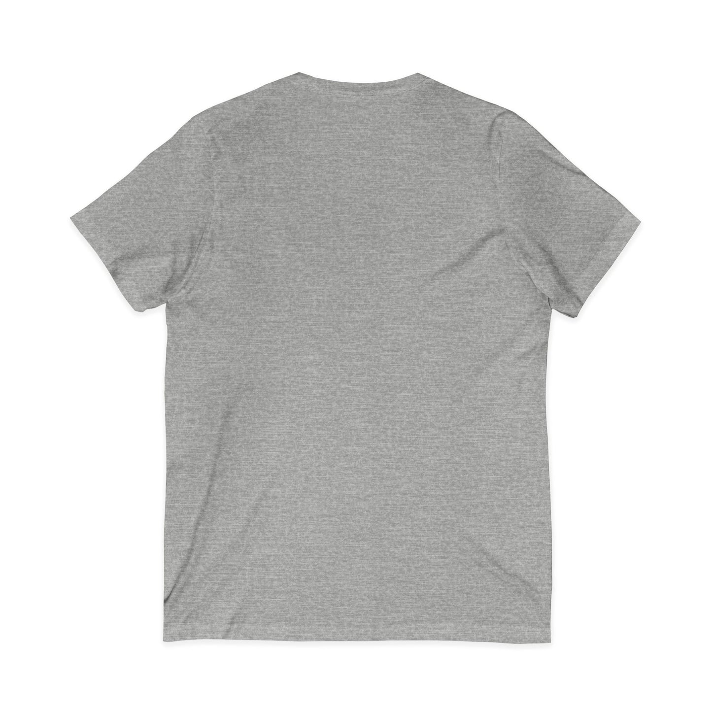 Learning the Fun Way V-Neck Tee